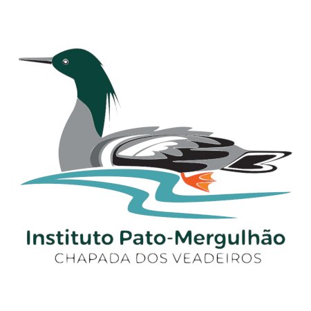 Instituto Pato-Mergulhão